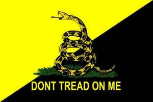 cropped-gadsen-flag1.jpg